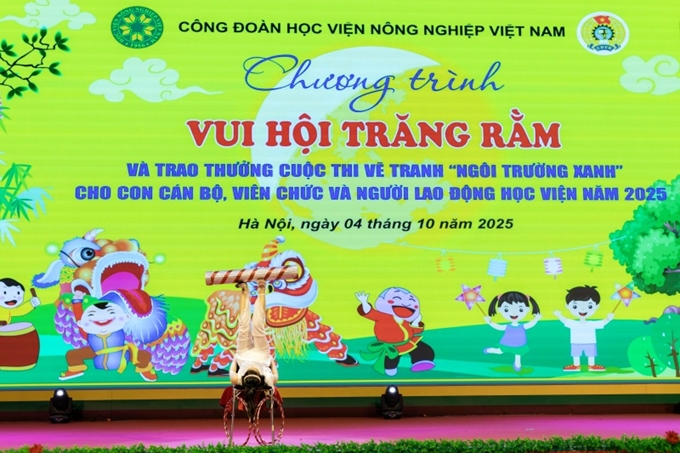 ảnh slide