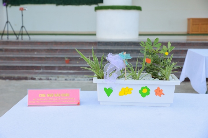 ảnh slide