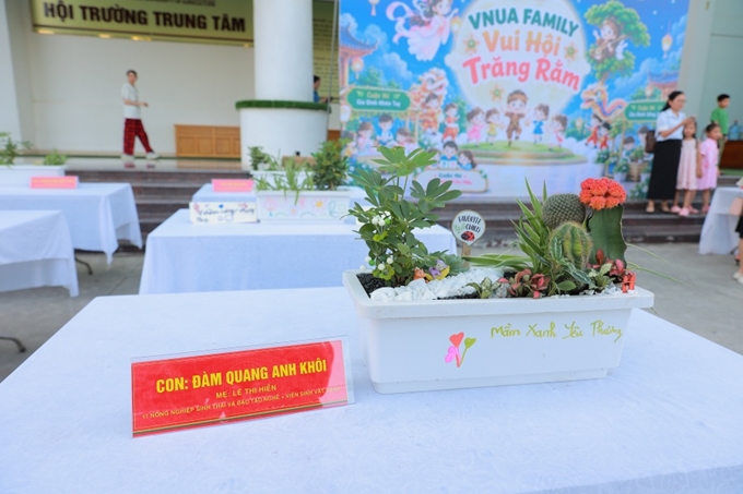 ảnh slide