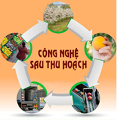 Tìm hiểu ngành Công nghệ sau thu hoạch