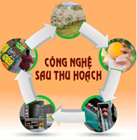 Những điều cần biết về ngành Công nghệ Sau thu hoạch