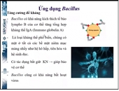 Seminar khoa học tháng 5 - Khoa Công nghệ thực phẩm