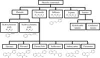 Bức xạ Ultraviolet-B công cụ tiềm năng kích thích sinh tổng hợp và tích lũy polyphenol kháng oxi hóa ở thực vật