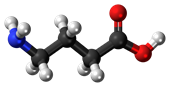 Gama-amynobutyric acid – GABA hợp chất thiết yếu cần bổ sung cho cơ thể người