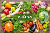 Chất xơ và bệnh mãn tính không lây