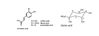 Clorogenic acid trong hạt cà phê xanh giá trị sinh học và ứng dụng trong công nghiệp thực phẩm