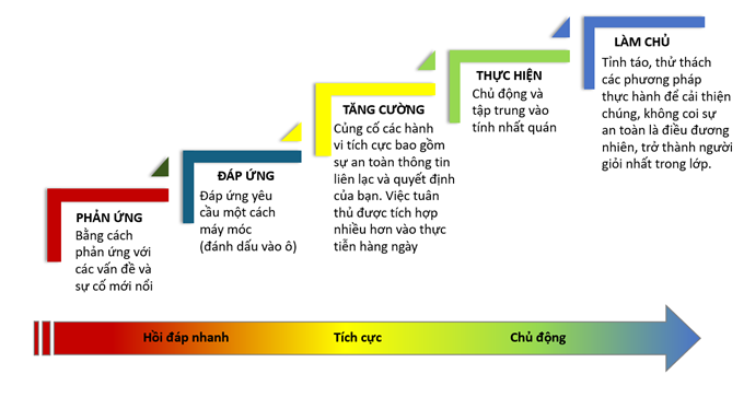 Văn Hóa An Toàn Thực Phẩm Là Gì? Hướng Dẫn Toàn Diện Để Bảo Vệ Sức Khỏe Cộng Đồng