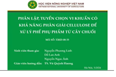 Phân lập, tuyển chọn vi khuẩn có khả năng phân giải cellulose để xử lý phế phụ phẩm từ cây chuối