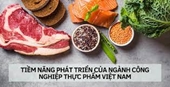 Cơ hội và triển vọng ngành Công nghệ thực phẩm trong tương lai