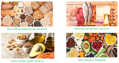 Dinh dưỡng hợp lý