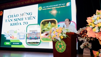 Chào tân sinh viên K70 Khoa Công nghệ thực phẩm