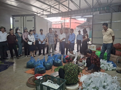 Tập huấn nâng cao nhận thức về “Phương pháp xây dựng hệ thống truy xuất nguồn gốc nông sản, thực phẩm Việt”