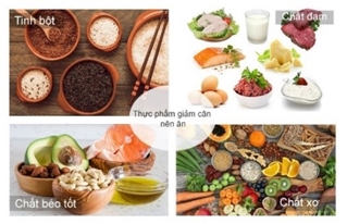 Thừa cân béo phì và chế độ ăn giảm cân