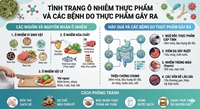 Các bệnh do thực phẩm gây ra và nguyên nhân chính