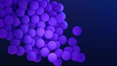 Staphylococcus aureus trong thực phẩm và nguy cơ đối với sức khỏe cộng đồng