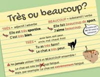 Hướng dẫn học ngữ pháp tiếng Pháp căn bản