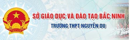 Trường THPT Nguyễn Du