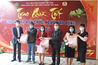 Học viện Nông nghiệp Việt Nam gói bánh chưng, giò tặng cán bộ, người lao động