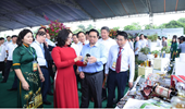 Hành trình khởi nghiệp đổi mới sáng tạo và Ngày hội việc làm VNUA - 2022
