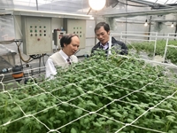 Tích tụ và tập trung đất đai Cơ sở lý luận và thực tiễn cho phát triển nông nghiệp hàng hóa ở Việt Nam