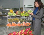 Hà Nội Giải pháp nâng cao tính khả thi một số cs nông nghiệp trên địa bàn thành phố