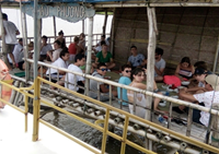 Phát triển du lịch sinh thái trên địa bàn huyện Giao Thủy tỉnh Nam Định