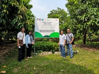 Khảo sát thực trạng chuyển đổi số trong chuỗi xoài xuất khẩu 
tại tỉnh Đồng Tháp