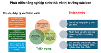 Hướng dẫn của ASEAN về nông nghiệp bền vững và cơ sở cho phát triển thị trường các bon ở Việt Nam