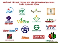 Giới thiệu chương trình đào tạo Kinh tế