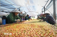 Nghị quyết 68-NQ TW Động lực để Việt Nam bứt phá tới ngưỡng thu nhập cao