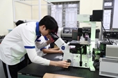 Nghị định 179 hút người học vào ngành khoa học, công nghệ chiến lược