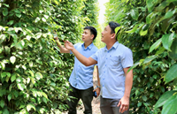 ESG và thương hiệu nông sản Việt Nam từ yêu cầu tuân thủ đến tài sản cạnh tranh toàn cầu