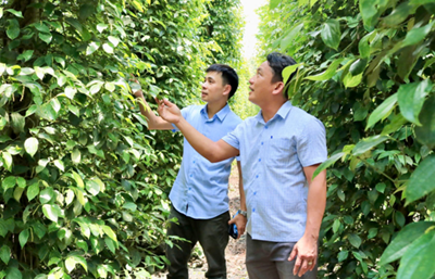 ESG và thương hiệu nông sản Việt Nam từ yêu cầu tuân thủ đến tài sản cạnh tranh toàn cầu
