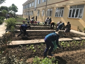 Hướng dẫn kỹ thuật xây dựng vườn rau dinh dưỡng hữu cơ vụ thu đông tại Trường Tiểu học Tống Phan