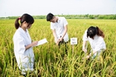 Giới thiệu ngành Khoa học cây trồng – Khoa Nông học tại Học viện Nông nghiệp Việt Nam