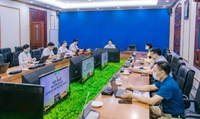 Hội thảo “Phát triển sản xuất cây vải Việt Nam theo chuỗi liên kết”
