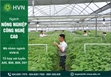Nông nghiệp công nghệ cao – Xu thế tất yếu của kỷ nguyên số