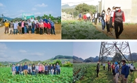 Kết quả dự án “xây dựng mô hình sản xuất rau theo hướng thị trường hướng đến tạo sinh kế bền vững cho phụ nữ Thái, xã Quài Cang, huyện Tuần Giáo, tỉnh Điện Biên”