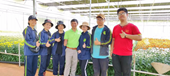 Sinh viên khóa đầu tiên của ngành Nông nghiệp công nghệ cao thực tập tốt nghiệp tại công ty Dalat Hasfarm