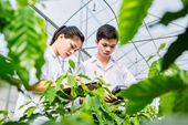 Ngành Khoa học cây trồng - Học viện Nông nghiệp Việt Nam Hành trình chinh phục tri thức và gieo mầm tương lai xanh