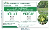 Rau hữu cơ, VietGAP trái vụ giá trị hơn 1 tỷ đồng ha
