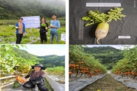 Hội thảo đầu bờ nghiệm thu mô hình sản xuất rau an toàn trái vụ tại xã Vân Sơn, huyện Tân Lạc, tỉnh Hòa Bình