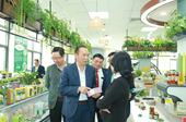 Thứ trưởng Bộ Nông nghiệp và Phát triển nông thôn Phùng Đức Tiến làm việc với Học viện về Khoa học công nghệ và Đổi mới sáng tạo