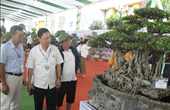 Khẳng định vị thế ngành hoa, cây cảnh Việt Nam trên thế giới