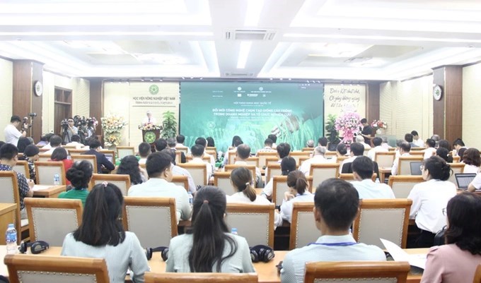 kèo nhà cái việt nam