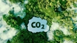 Tín chỉ Carbon Cơ hội của nền nông nghiệp xanh