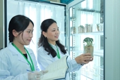 Học ngành Nông nghiệp Công nghệ cao, sinh viên có cơ hội làm chủ công nghệ hiện đại