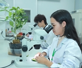 Nơi ươm mầm cho những đam mê, hành trình chạm tới thành công