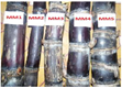 Nghiên cứu đặc điểm nông sinh học của 5 mẫu giống mía tím Kim Tân Saccharum officinarum l  tại Thanh Hóa