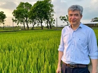 Lần thứ ba đón nhận Bằng lao động sáng tạo Hành trình đưa khoa học ra cánh đồng